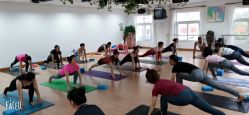 点击看大图 -哈瑞瑜伽健身中心