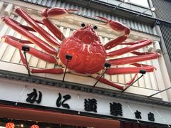-蟹道乐(道顿堀本店)