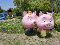 -田园东方蜜桃村的田野营地