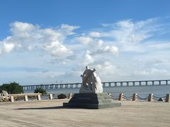 -宝安西湾红树林湿地公园