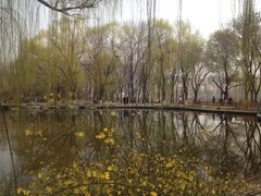iphone_upload_pic-玲珑塔公园