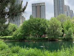 -长白岛森林公园