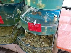 -晓伟海鲜家常菜