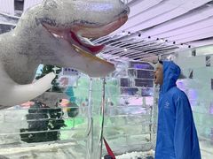 -宁波冰雪大世界(北仑区)