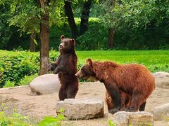 -北京野生动物园