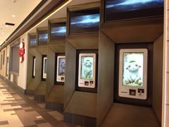 百丽宫影城(嘉里汇店)-百丽宫影城(嘉里汇店)