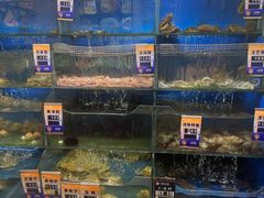 -小船渔村•大连菜•大连焖鱼(明泽街店)