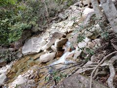 -姑婆山旅游区
