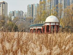 -成吉思汗公园