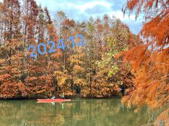 -上海海湾国家森林公园