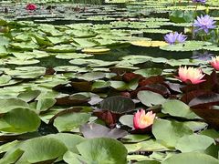 -国家植物园南园