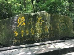-张家界荷花国际机场