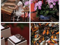 -龙悦湾酒家·八阵鱼生·渔人码头店