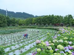 -海窝子古镇