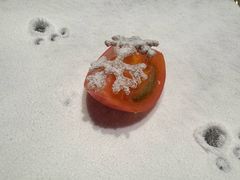 -程府宴(南长街四合院店)