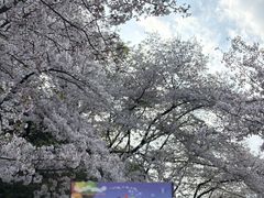 -杭州少年儿童公园