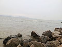 -深圳湾公园(南山区)