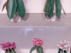 -四川大学博物馆