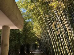 -上海市龙华烈士陵园