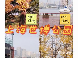 给在上海的朋友们推荐一处赏秋好去处