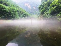 -少华山国家森林公园
