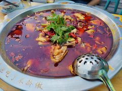 -老表牌·蛙蛙鸡冷锅鱼(成都东站店)