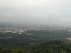 -大屏嶂森林公园