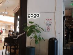 -gaga(深圳南山益田假日广场店)