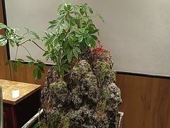 -杏花村水席楼·洛阳水席(老城十字街店)