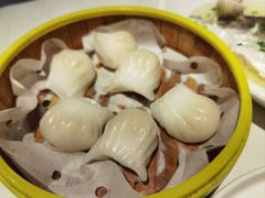 虾饺皇-苔圣园酒家(尊木汇国际艺术广场店)