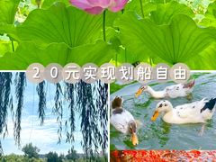 -莲湖公园