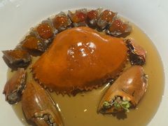 溏心醉膏蟹-圆苑(静安寺店)