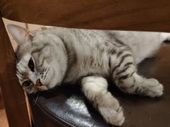 -H立方实景剧情密室(天河旗舰店)