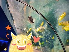 -太平洋海底世界