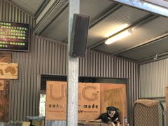-可伦宾野生动物保护区