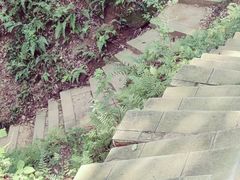 -水镜庄风景区