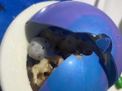 -3号仓库·创意中国菜(嘉兴龙鼎万达店)