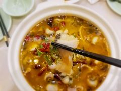 -蜀腾川·火锅鱼.烤鱼(新世界城店)
