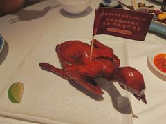-侨美食家·41年地道粤菜(珠江新城店)