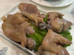 -丁老爷子苏香圆
