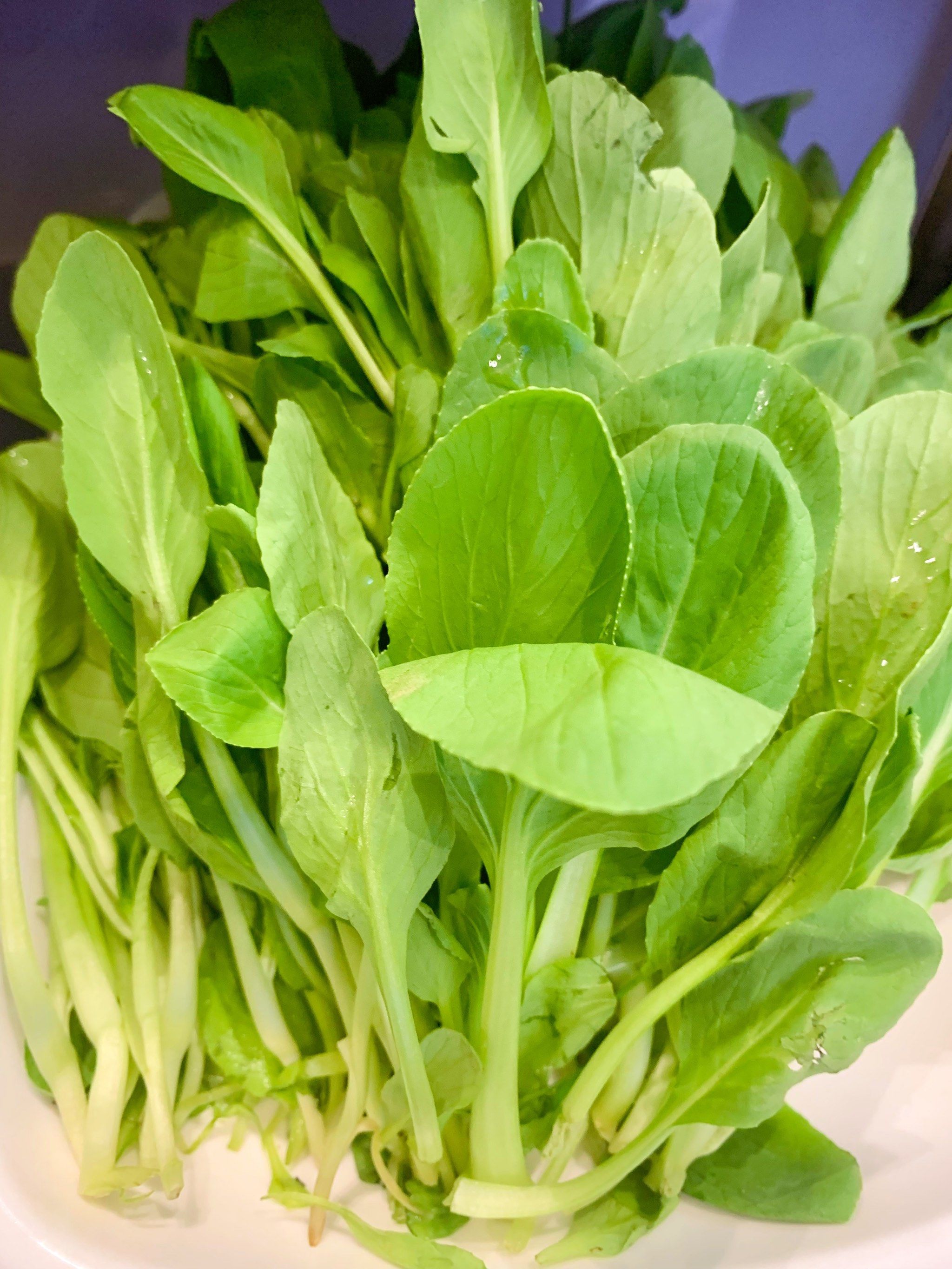 纯天然绿色食品 鲜嫩多汁的生蔬菜,让你