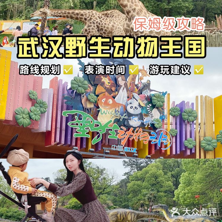 武汉野生动物王国超强攻略｜带娃不走回头路