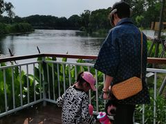 -新江湾城公园