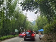 -广州市石门国家森林公园