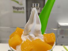 -Salud撒露欧洲冻酸奶(蓝色港湾店)