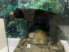 -国家自然博物馆