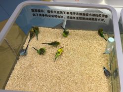 -meland亲子乐园•派对•研学(苏州悠方购物中心店)