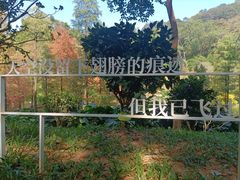-云溪植物园