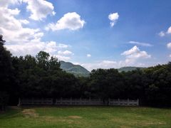 iphone_upload_pic-青龙山公园