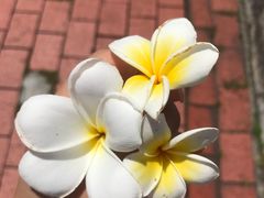 -真浪大家乐海鲜餐馆